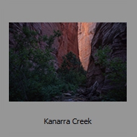 Kanarra Creek